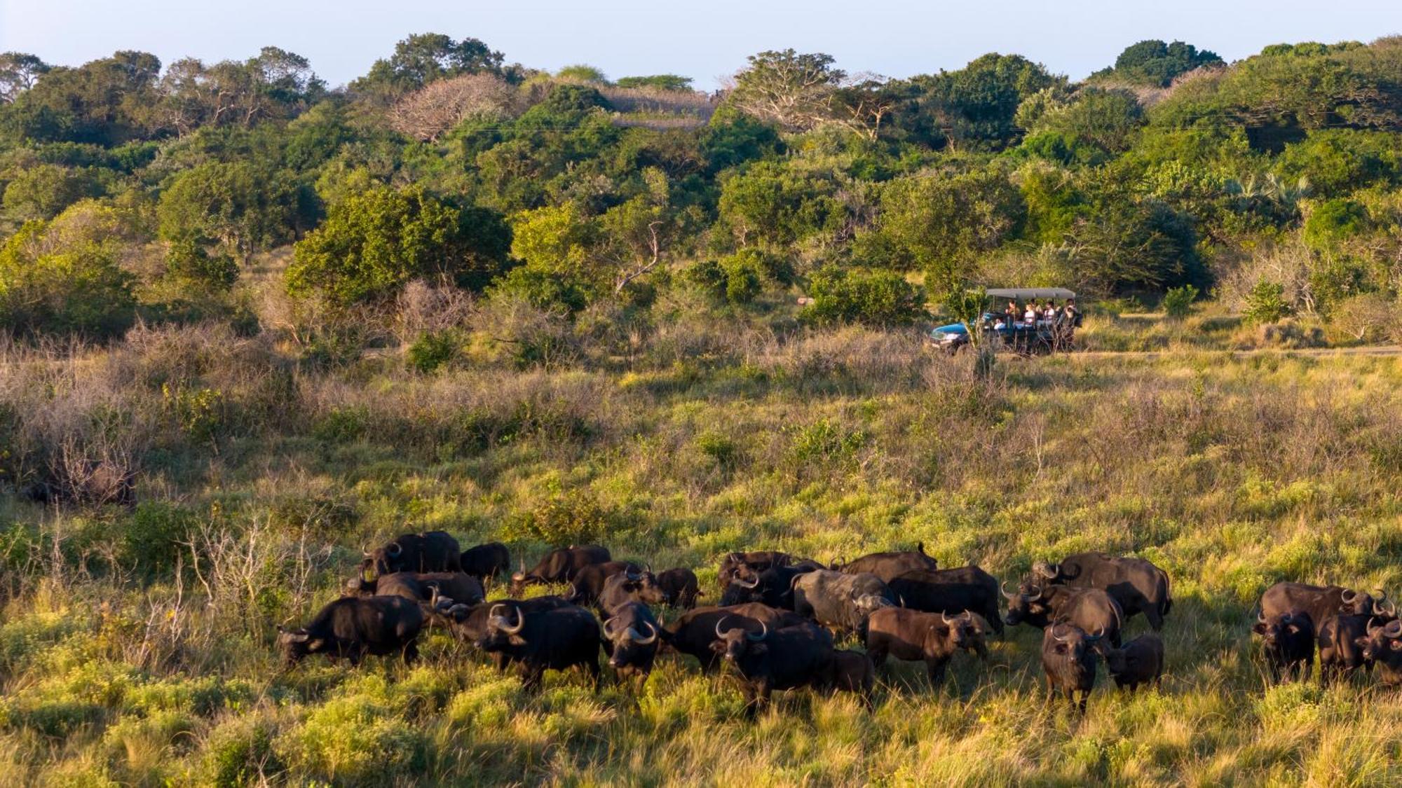 Makakatana Bay Lodge Saint Lucia Estuary 외부 사진
